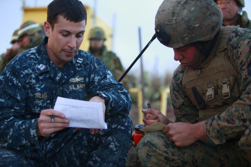Marines, Japanese conduct training on San Clemente Island