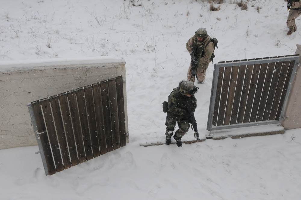 Georgia Deployment Program - International Security Assistance Force training