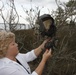 Pamlico County residents find Cobra pilot's long lost helmet