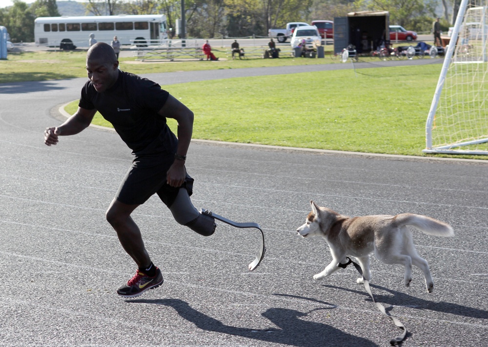 Man's best friend accompany wounded warriors at 2012 Marine Corps Trials
