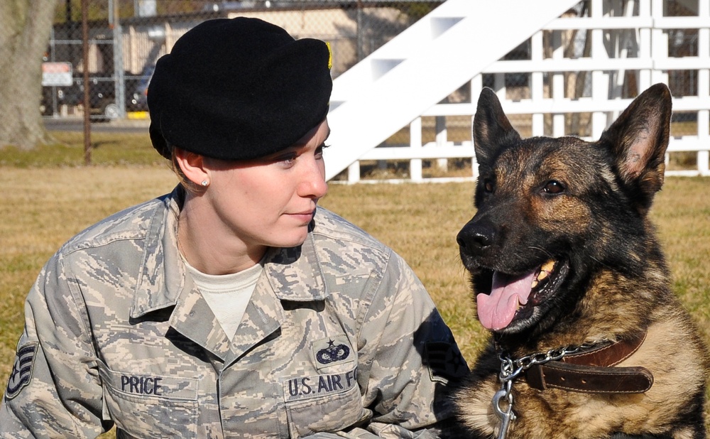 Military working dogs: Service members' best friends