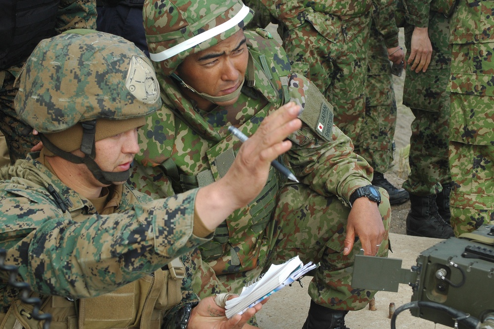 Exercise Iron Fist brings two nations together
