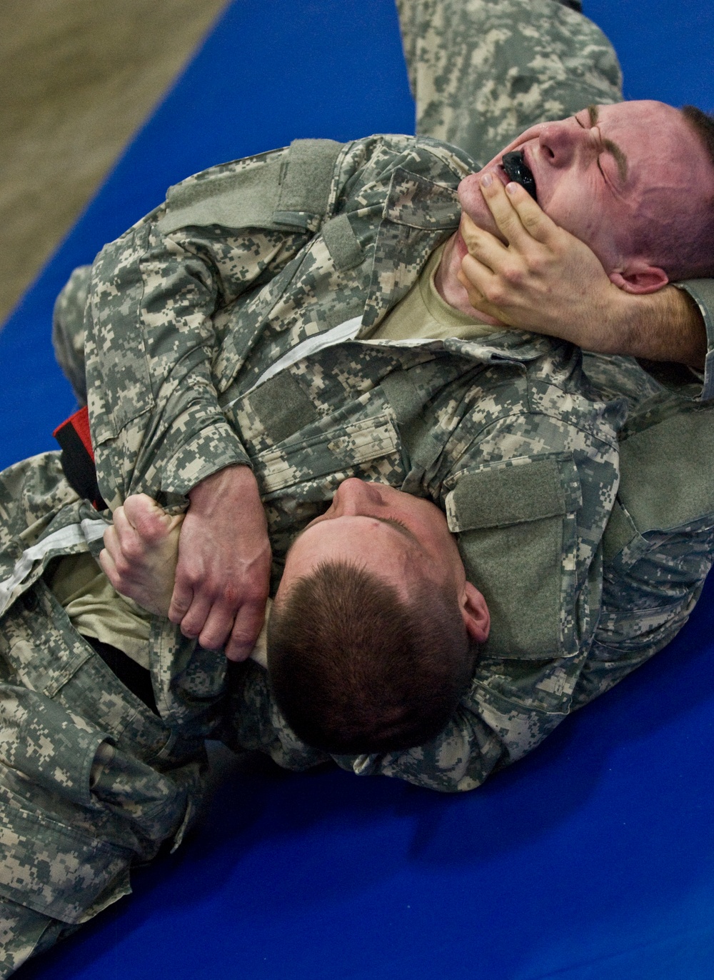 Best Warrior Combatives