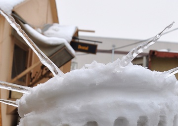 Military members honor American freedom while deployed