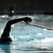 2012 Marine Corps Trials