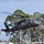 Global Guardian Exercise