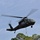 Global Guardian Exercise