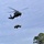 Global Guardian Exercise