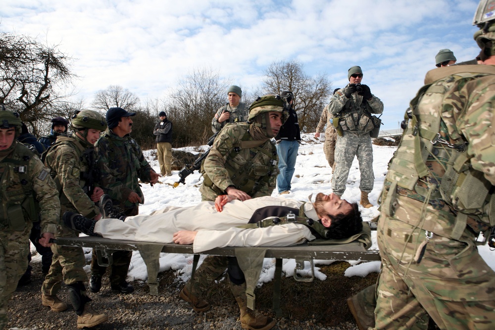 Marines praise Georgian soldiers mass casualty exercise output