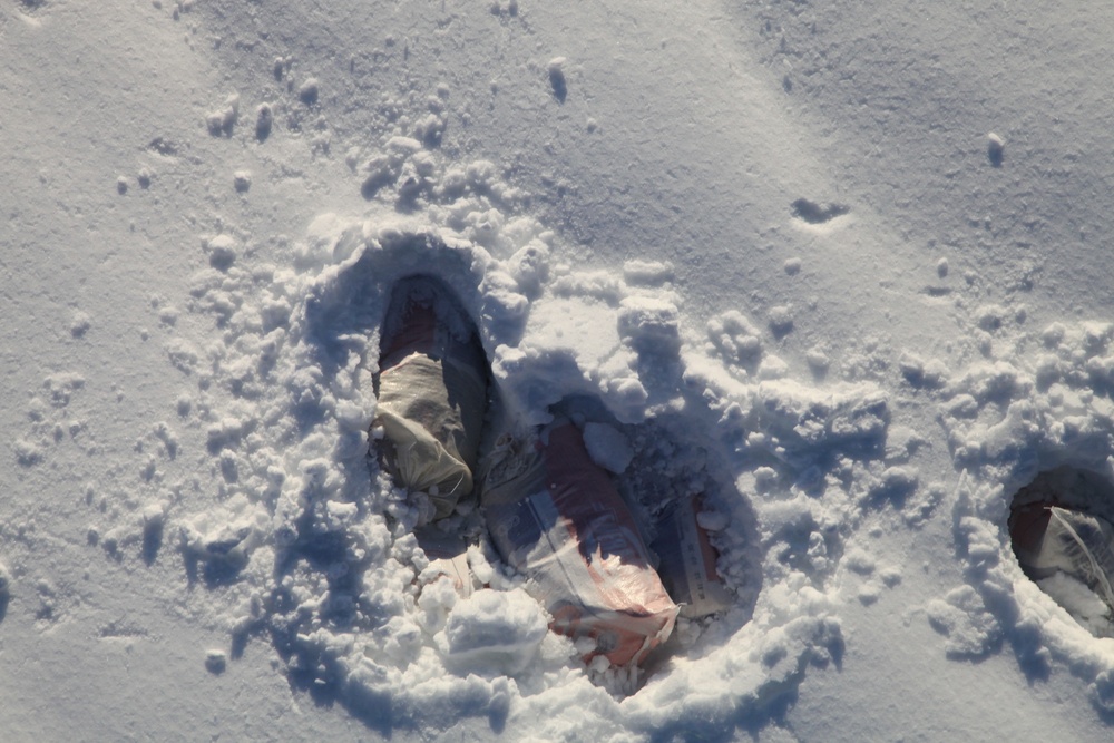 Montenegro humanitarian assistance/disaster relief