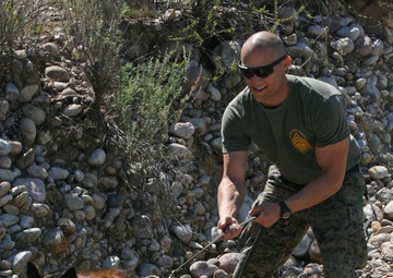 Explosive training: finding the scent