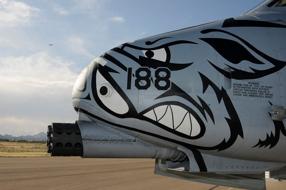 Operation Snowbird 2012