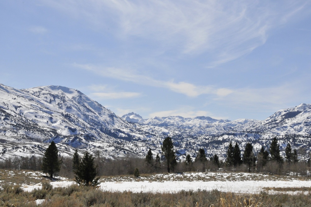 Operation Red Snow tests cold weather training and multi-agency tactics