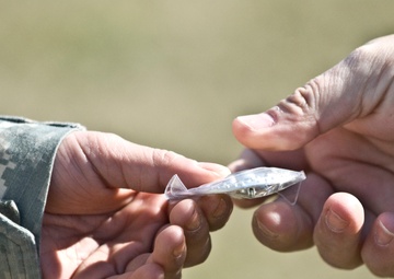 German Armed Forces Proficiency Badge awards ceremony