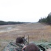 Sniper rifle training