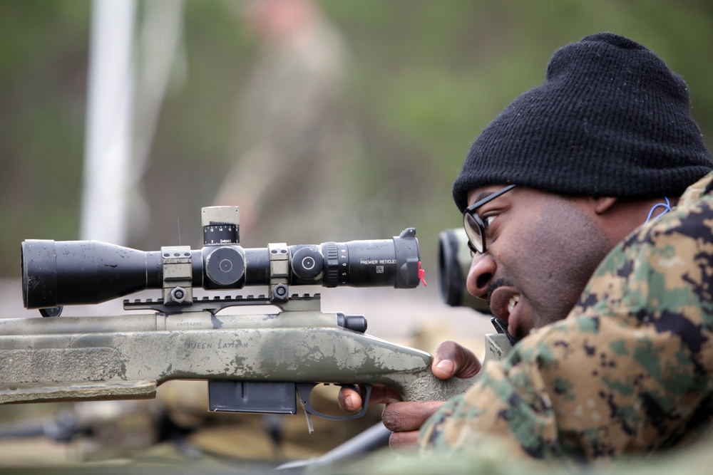 Sniper rifle training