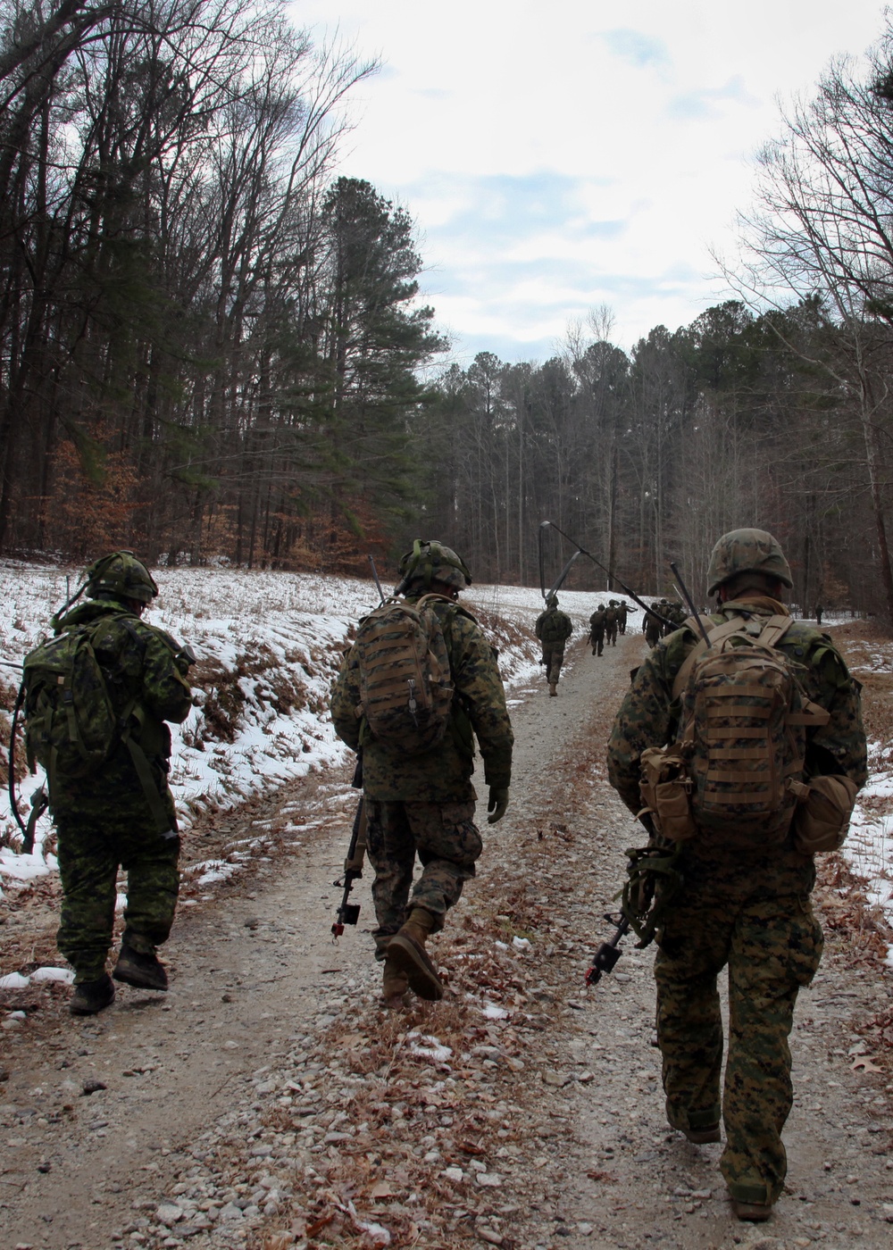 Two boot styles, one set of tracks: 2nd LAAD Marines train with Canadians