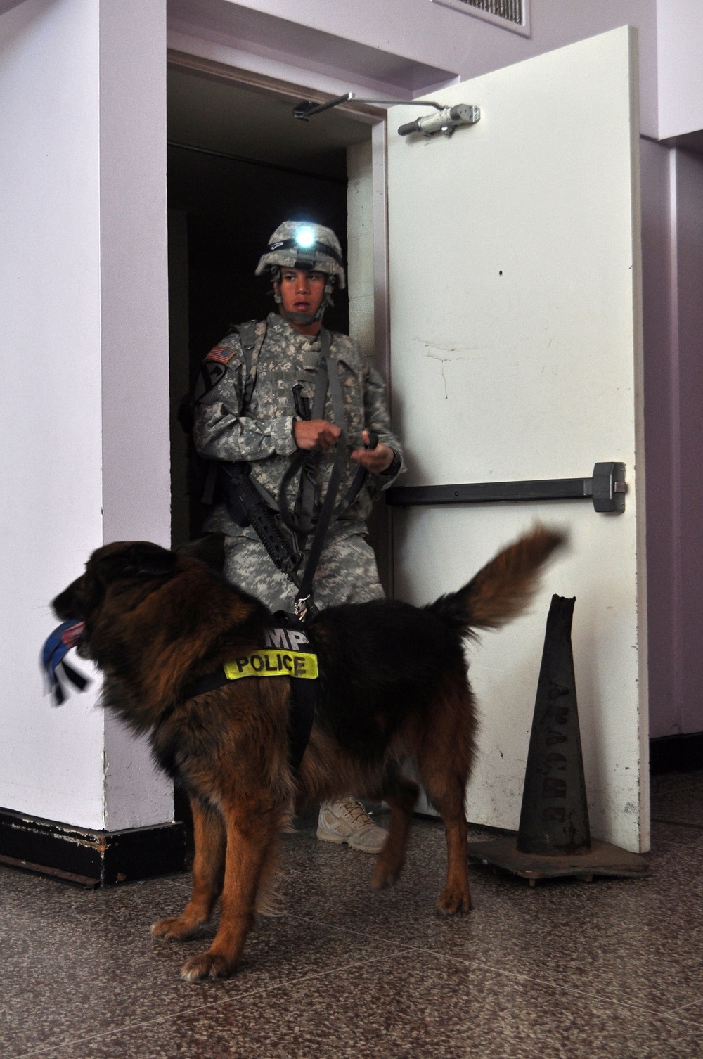 Bliss hosts FORSCOM military working dog recertifications