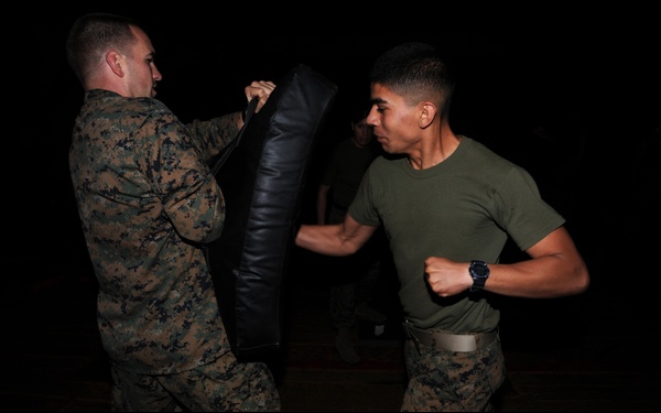 Martial Arts Training on USS Germantown