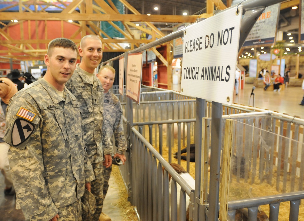 Division soldiers view the livestock