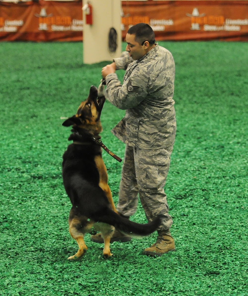 Military working dog performance