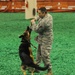 Military working dog performance