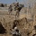 Texas Marines a ‘jack-of-all-trades’ Texas Marines a ‘jack-of-all-trades’