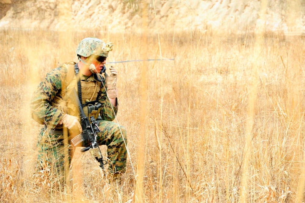 Fleet Antiterrorism Security Team Pacific