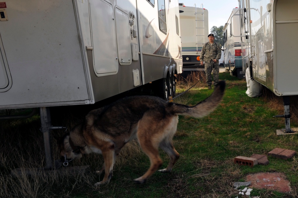 SFS military working dogs train