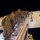 From cold to freezing, Marines head to the Arctic Circle A group of military personnel in camouflage uniforms are boarding a commercial aircraft via an external stairway at night. The soldiers are carrying full combat gear and backpacks, suggesting a deployment or troop movement operation. The aircraft displays a Delta Airlines logo on its fuselage.