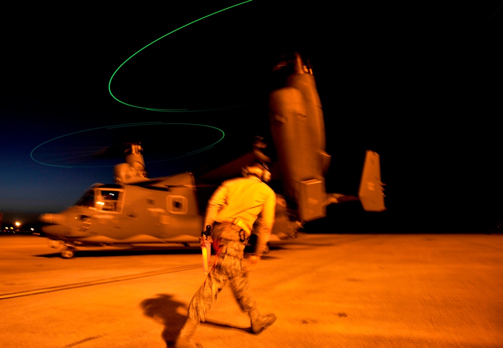 Emerald Warrior 2012