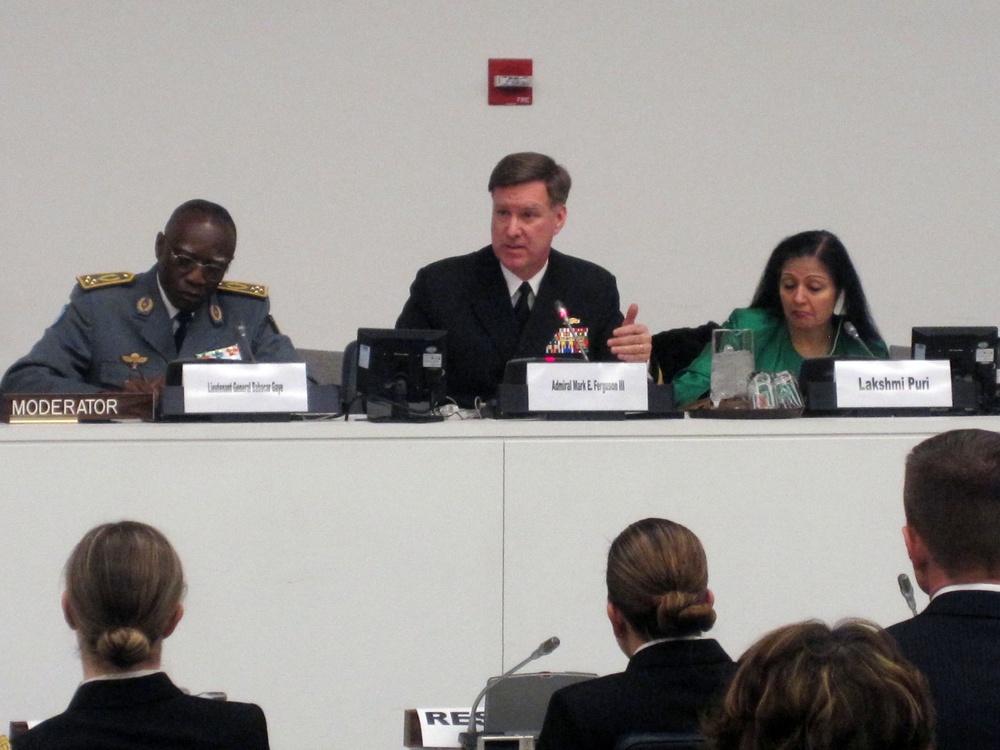 Ferguson at United Nations panel discussion