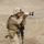 Marines conduct operations in Helmand province Marines conduct operations in Helmand province