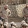 Marines conduct operations in Helmand province Marines conduct operations in Helmand province