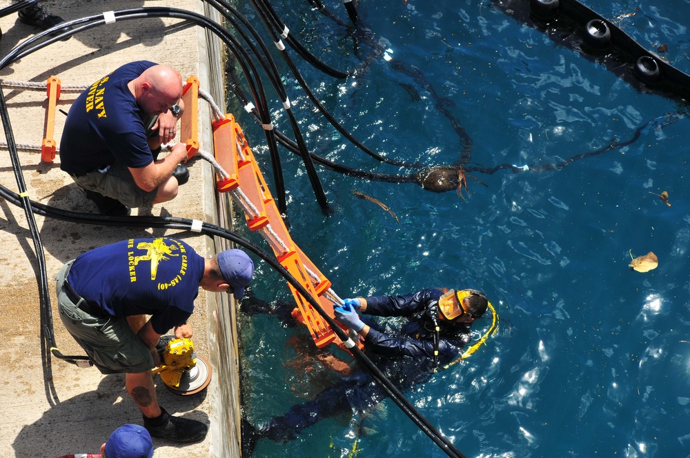 Performing underwater maintenance