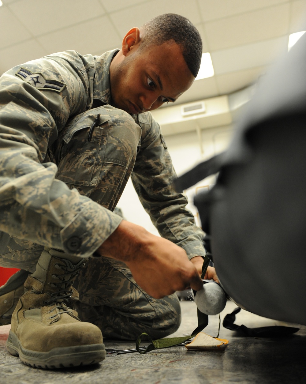 Tools to survive and thrive