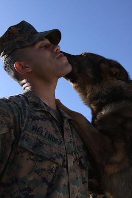 K-9 unit showcases hard work at competition