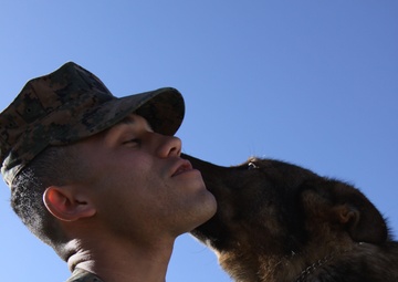K-9 unit showcases hard work at competition
