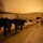 Cold Response 2012