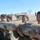 Olympic sailing team undergo Navy SEAL training
