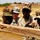 AFL completes advanced marksmanship training