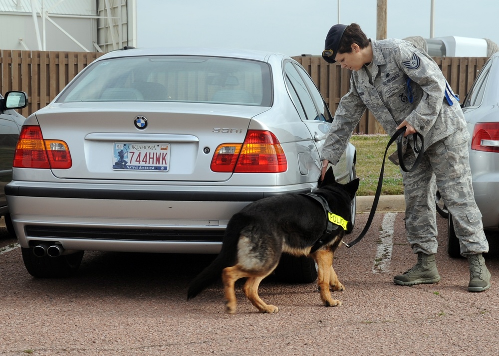 97th Security Forces Squadron dog training
