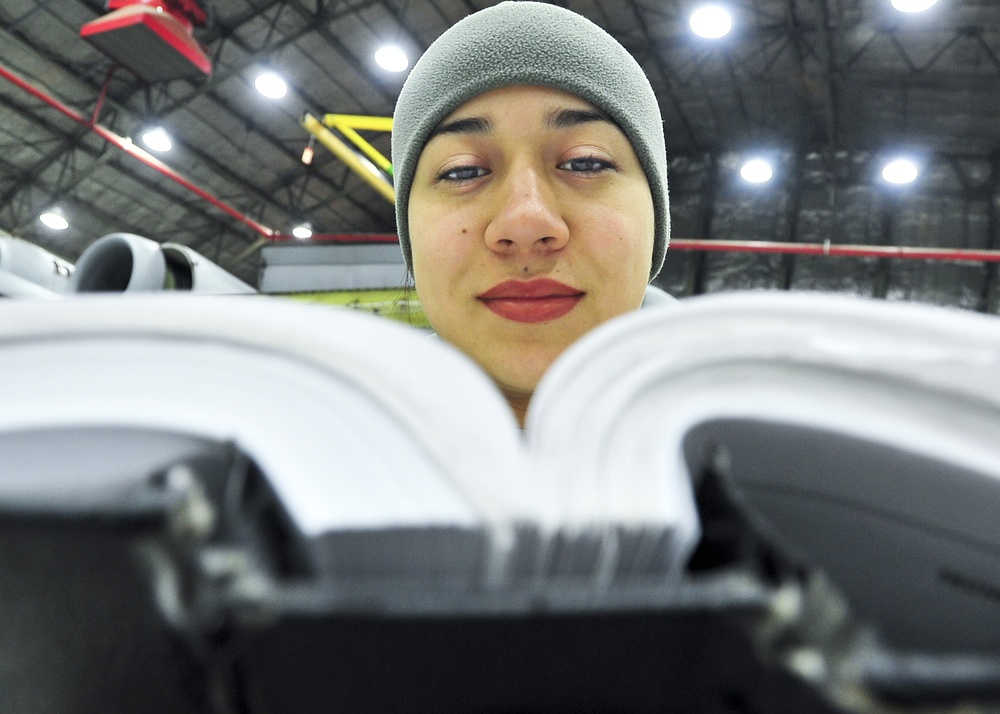 A-10 Phase Inspection