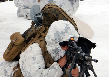 Marines, JGSDF come together for Forest Light