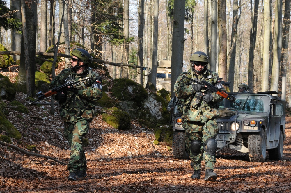 173rd Airborne Brigade Combat Team Mission Rehearsal Exercise