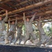Army ROTC teams test skills in 2012 Ranger Challenge