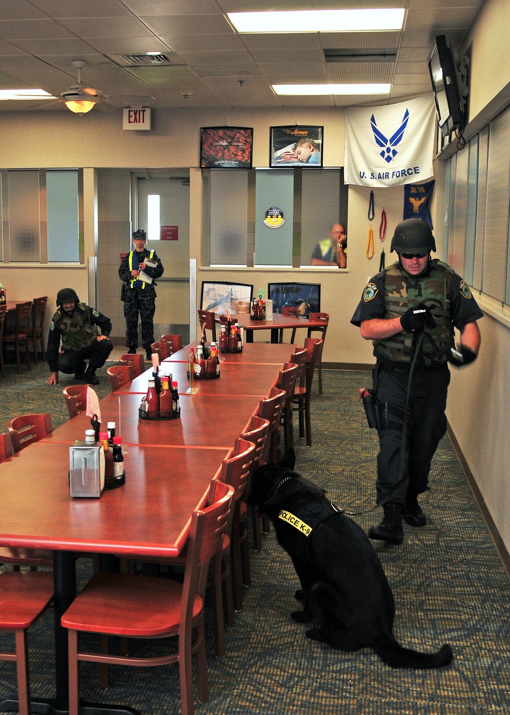 Solid Curtain-Citadel Shield 2012