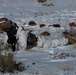 Infantry assault chemical camp at Mountain Warfare Training Center