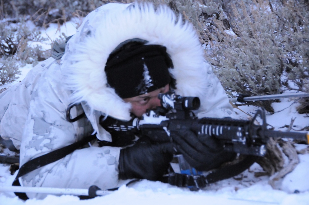 Doubts about scout snipers arose in infantry units, No. 2 Marine says,  snipers 