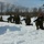 JGSDF, Marines conduct field training exercise during Forest Light